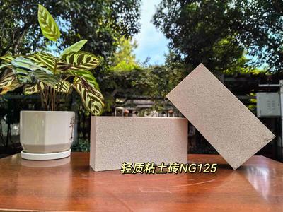 轻质粘土砖NG125