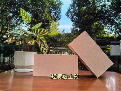 轻质粘土砖6